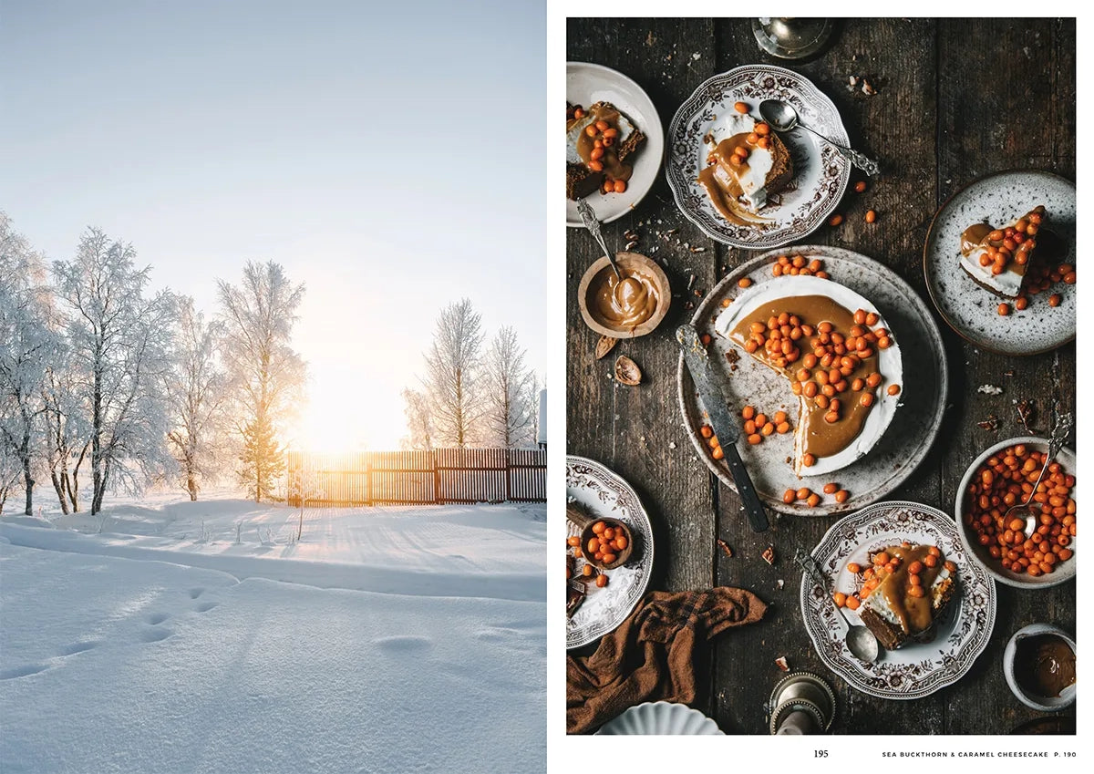 boek NORDIC WINTER