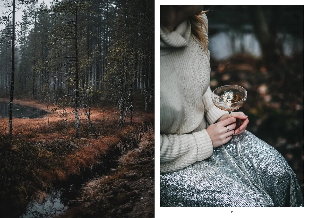 boek NORDIC WINTER
