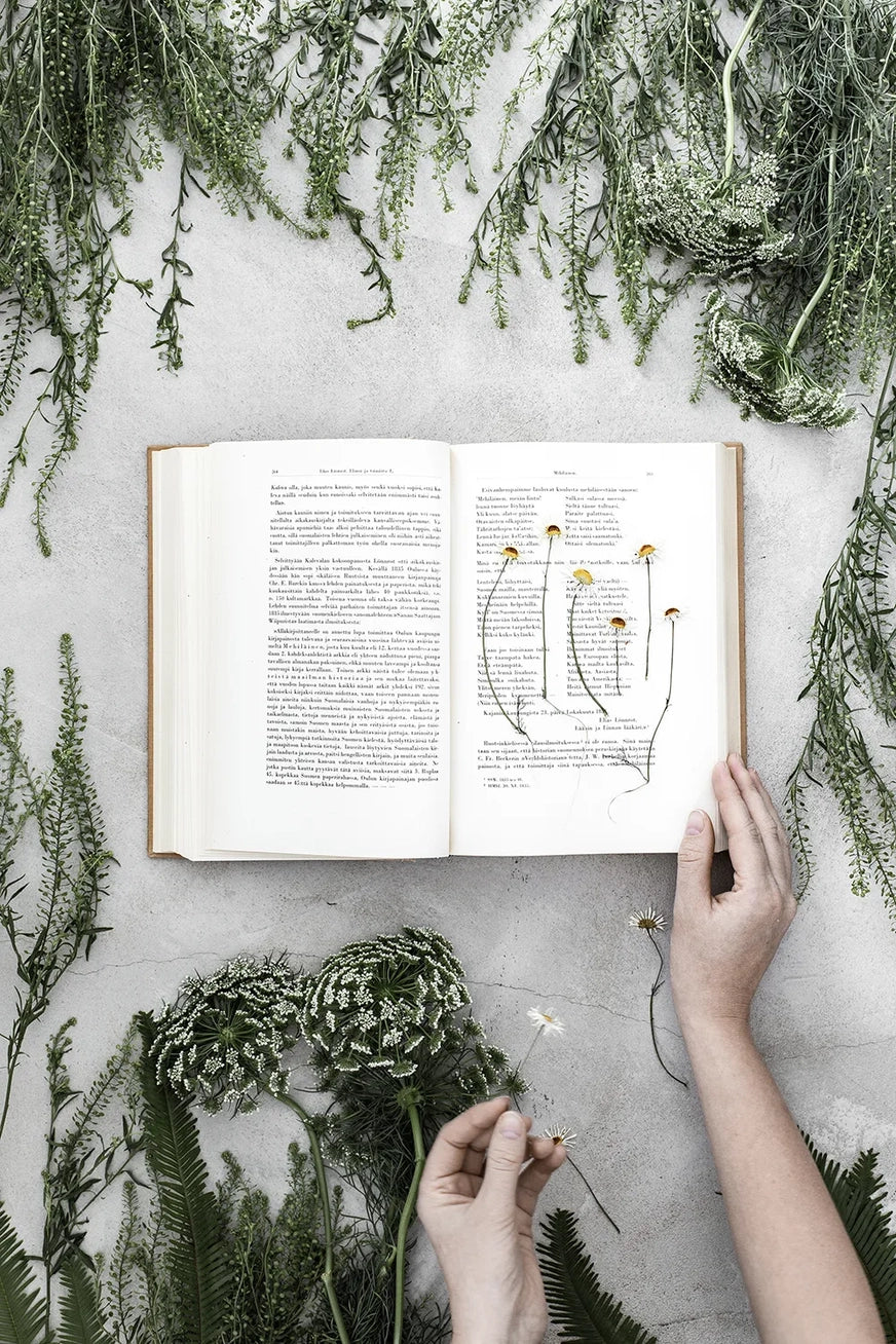 boek FESTIVE