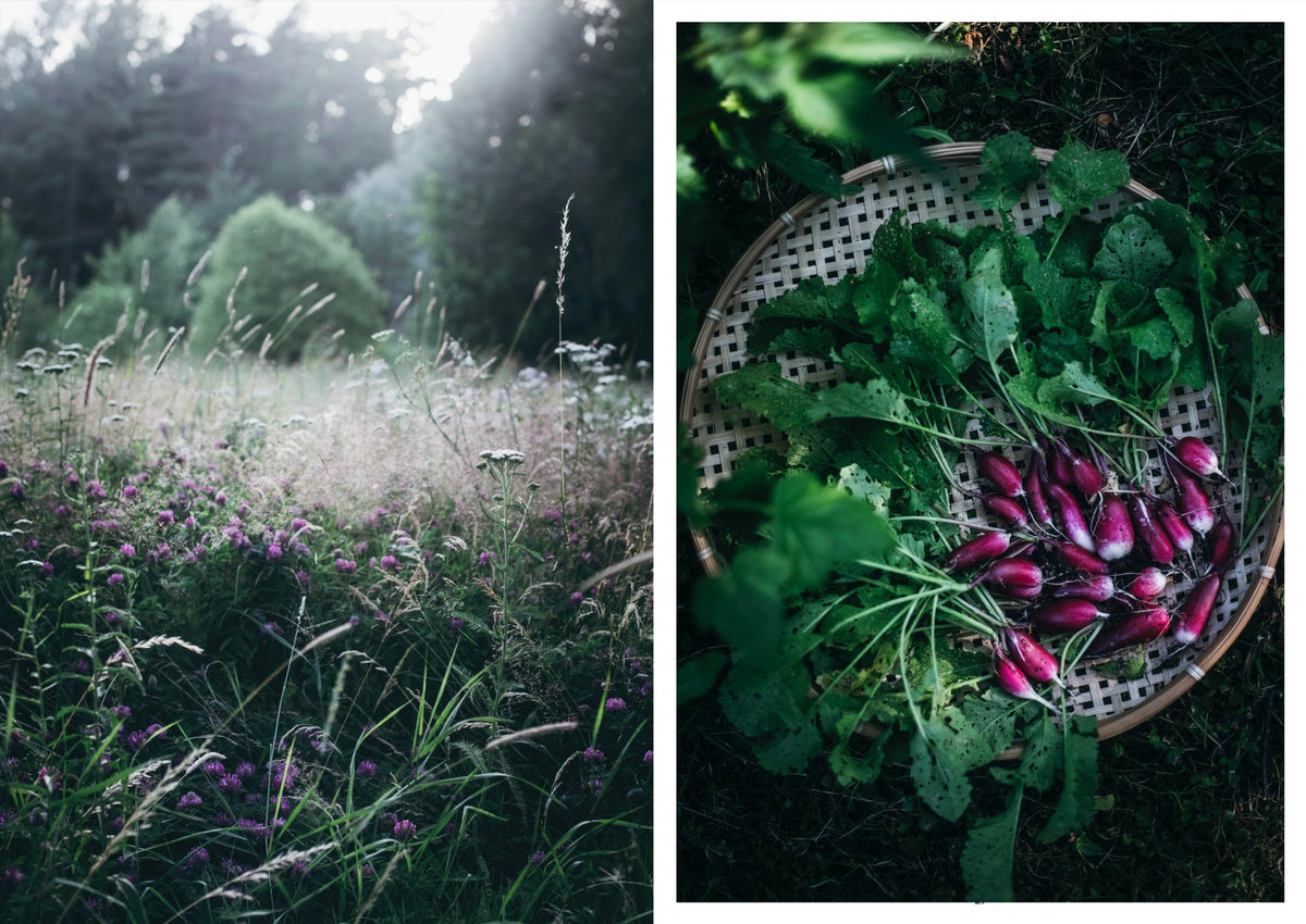 boek NORDIC SUMMER