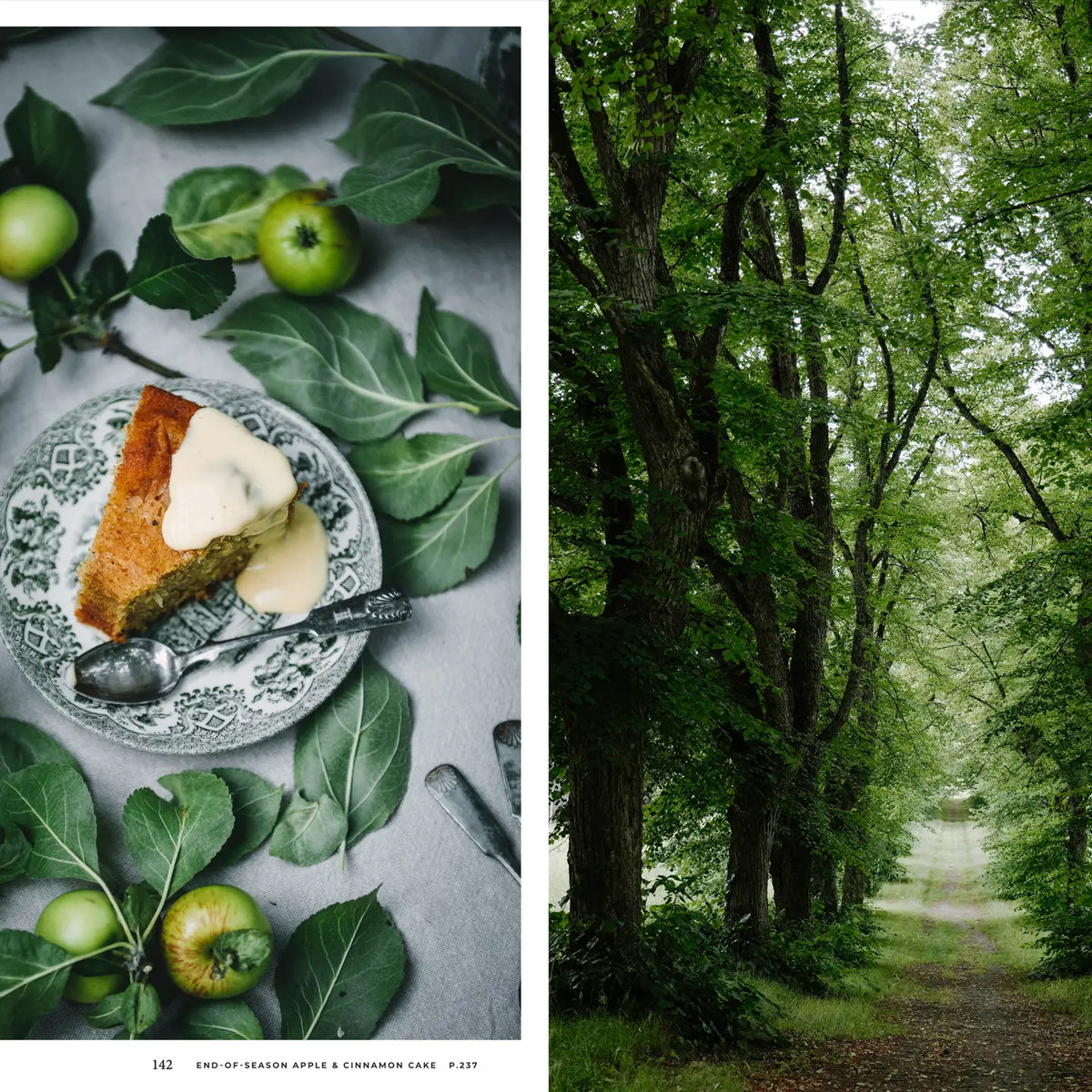 boek NORDIC SUMMER