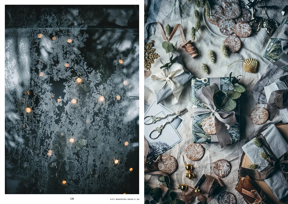 boek NORDIC WINTER
