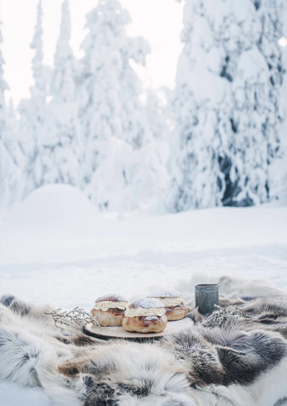 boek NORDIC WINTER