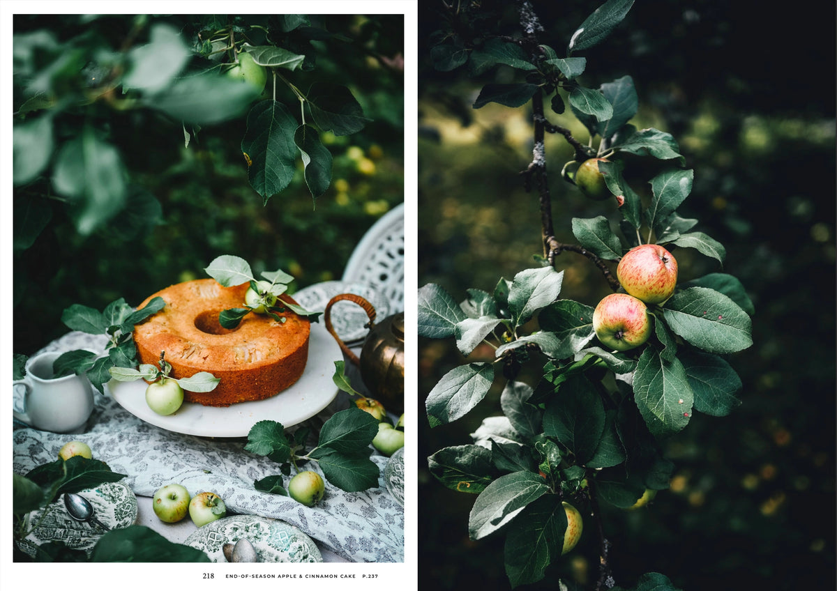 boek NORDIC SUMMER