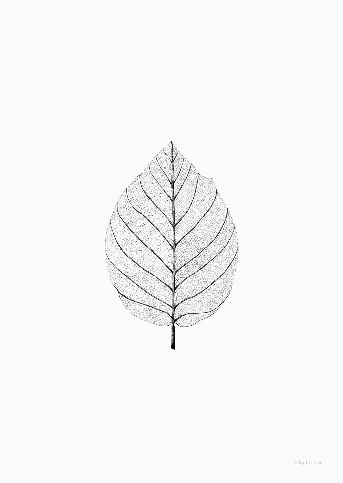 Poster met minimalistische tekening van een blad skelet zwart-wit.