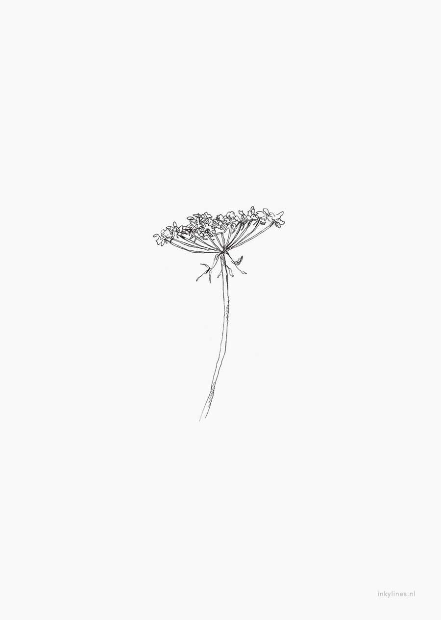 Kaart met illustratie van queen Anne's lace zwart-wit.