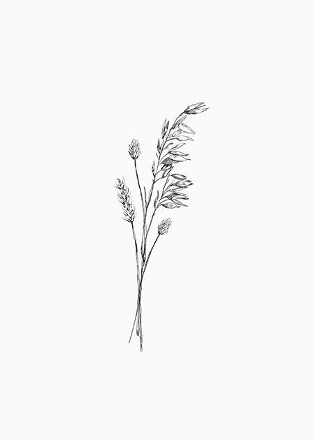 Kaart met illustratie van droogbloemen zwart-wit.