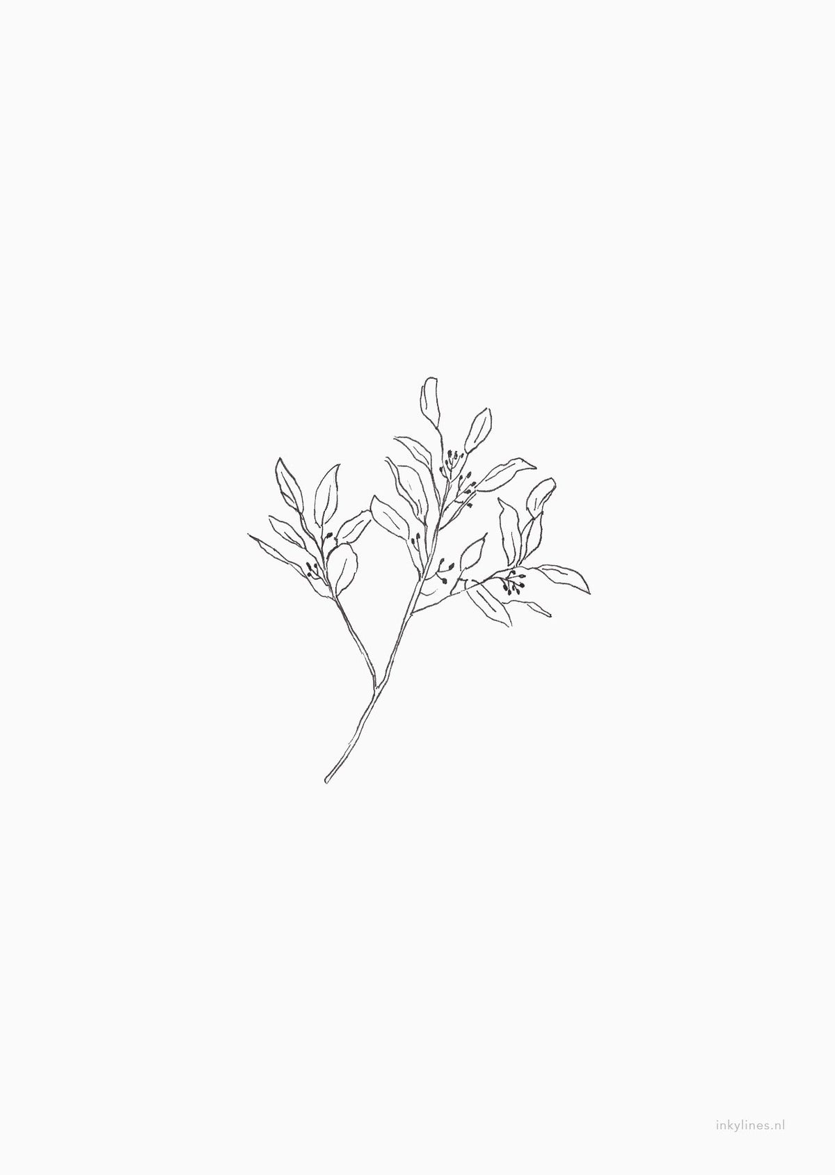 Kaart met illustratie van heucalyptus zwart-wit.
