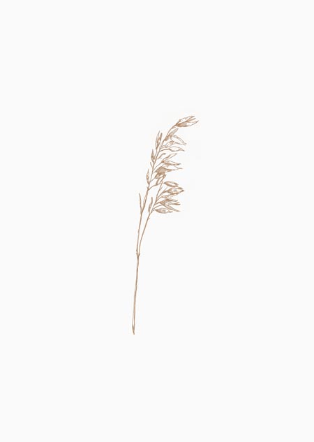 Kaart met illustratie van haver naturel.