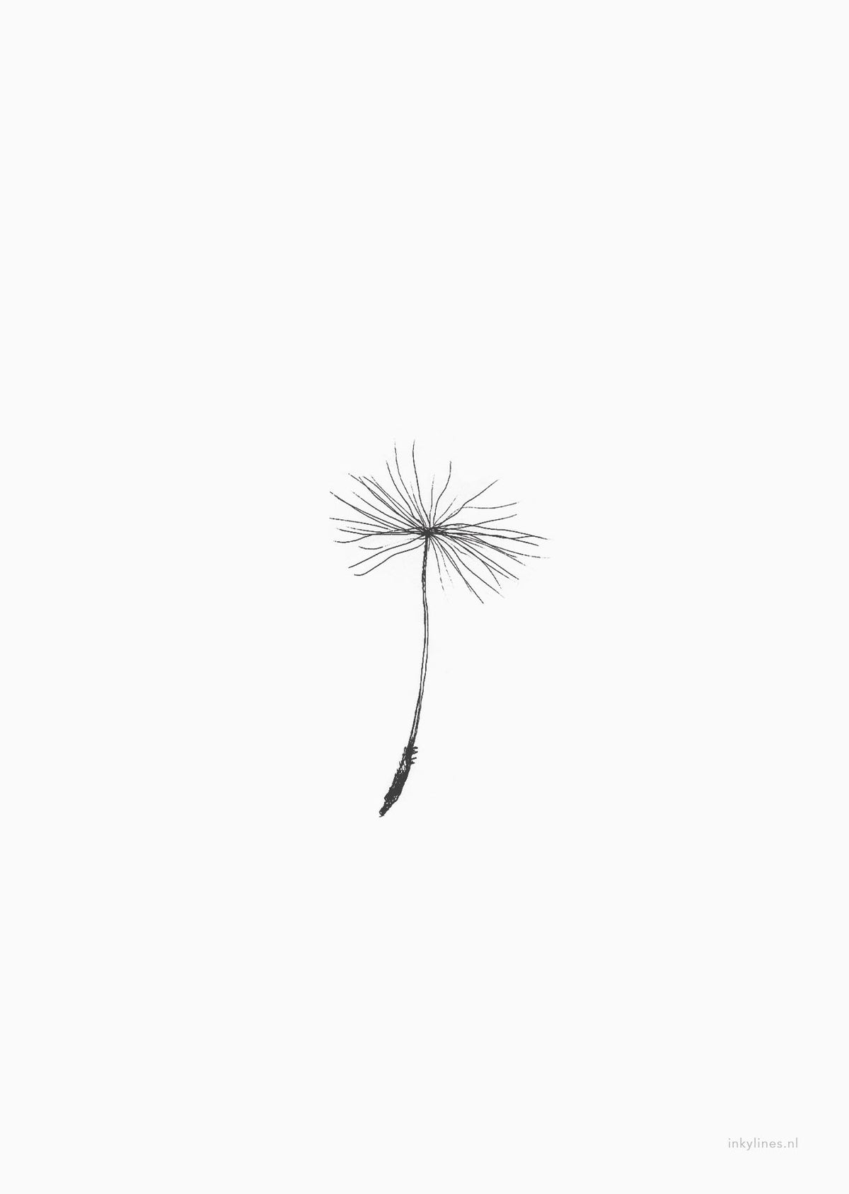 Kaart met illustratie van een paardenbloem pluisje zwart-wit.