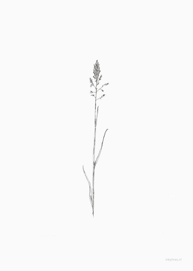 Poster met minimalistische tekening van gras zwart-wit.